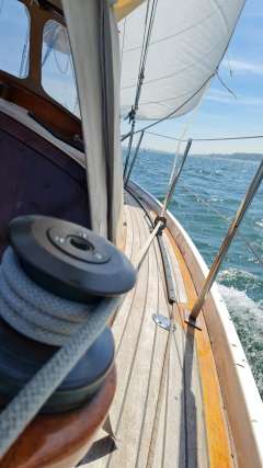 Dauelsberg Wattenkreuzer 820