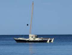 Wharram Katamaran Tiki 26