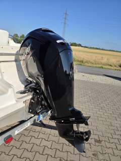 Hille Coaster 560 CCR