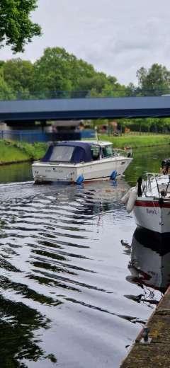 Sea Ray SRV 240