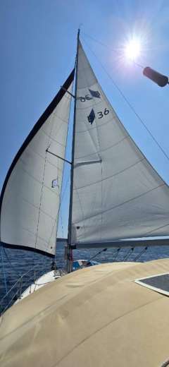 Bavaria 36 Cruiser