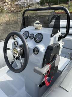 Caribe CL-13 Honda BF 50 LRTU