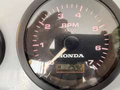 Caribe CL-13 Honda BF 50 LRTU