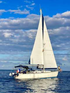 Dufour Classic 36