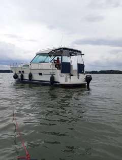 Delphia Nautika 1000