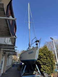 Bonito 9 / Carter 30