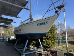 Bonito 9 / Carter 30