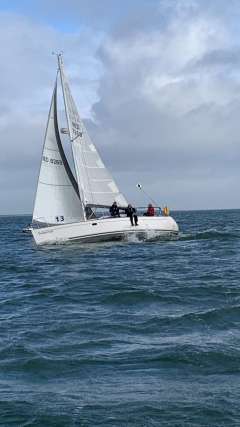 Alliaura Feeling 32 DI