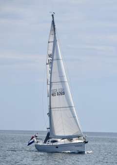 Alliaura Feeling 32 DI