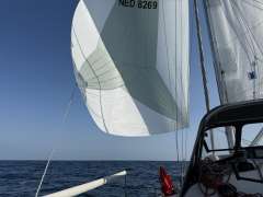 Alliaura Feeling 32 DI