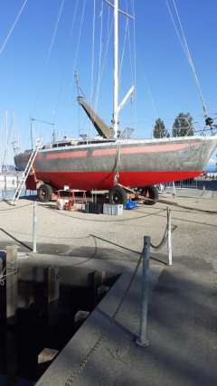 A vendre Via 36 Deriva da crociera