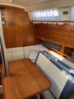 Zaadnoordijk Compromis C 999