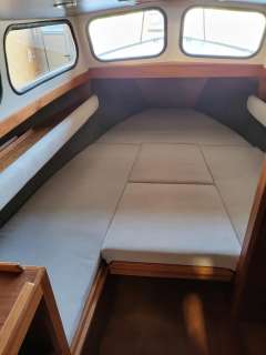 Ernst Riss  Seestern