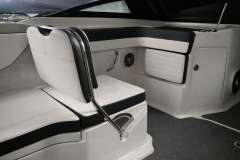 Sea Ray 210 SPXE inkl. Trailer & Bodenseezul. (1