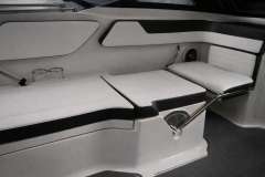 Sea Ray 210 SPXE inkl. Trailer & Bodenseezul. (1