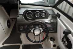 Sea Ray 210 SPXE inkl. Trailer & Bodenseezul. (1