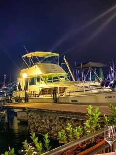 Chris Craft Commander 41 Fly