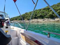 Ranieri Shadow 22 Deck