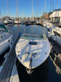 Sea Ray 240 SSE Limited Edition