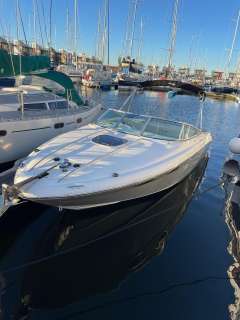 Sea Ray 240 SSE Limited Edition