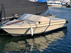 Hellwig Marathon V525