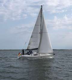 Alliaura Feeling 32 DI