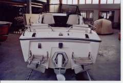 Cytra NK19