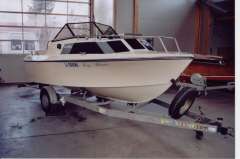 Cytra NK19
