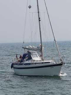 Zaadnoordijk Compromis 888