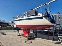 Zaadnoordijk Compromis 888