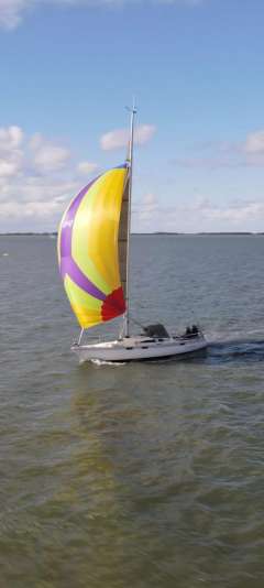Fabola Diva 39