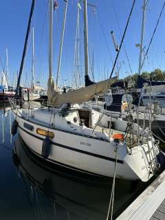 Nautic Plast Hai 760 PSK