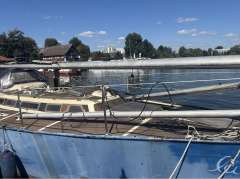 Reinke SY Taranga OBSTINATE