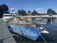 Reinke SY Taranga OBSTINATE