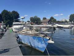 Reinke SY Taranga OBSTINATE