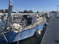 Reinke SY Taranga OBSTINATE