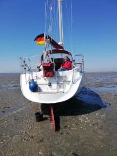 Delphia Sportina 860