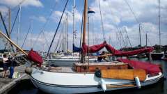 Vollenhovense bol 9.10 1