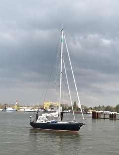 Koopmans 37