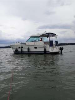 Delphia Nautika 1000