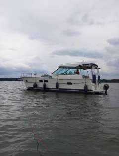 Delphia Nautika 1000