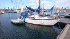 De Boer en Muller Dutch Dandy