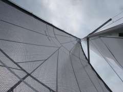 Archambault Surprise