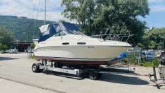 Sea Ray 230 DA