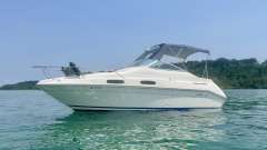 Sea Ray 230 DA