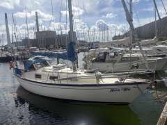Hallberg-Rassy Monsun 31