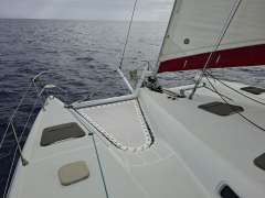 Alliaura Privilege 465