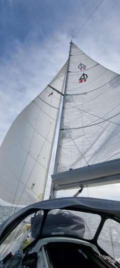Dehler 31