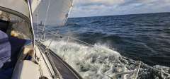 Sunbeam 37