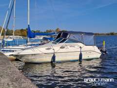 Sea Ray 250 DA Kamaralı Tekne